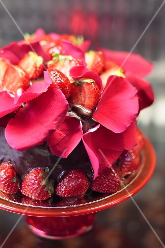 Chocolate cake with strawberries and rose petals