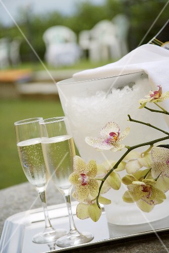 Two glasses of Prosecco with wine cooler, orchids out of doors