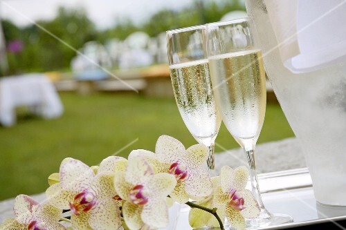 Two glasses of Prosecco with wine cooler, orchids out of doors