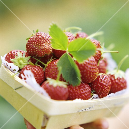A Carton of Strawberries