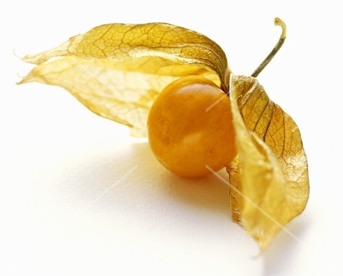 Kapstachelbeere (2)
