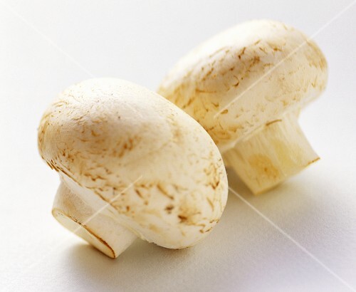 Two Button Mushrooms