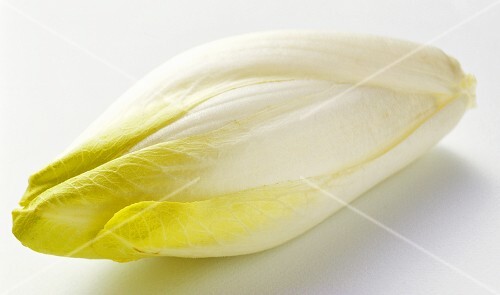 Belgian Endive