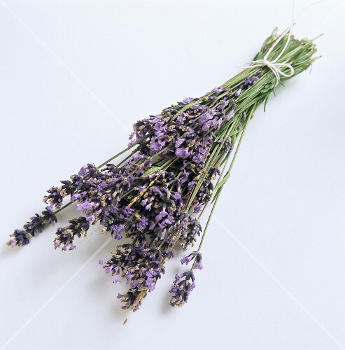 A Bunch of Lavender