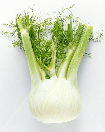 Fenchelknolle mit Fenchelgrün