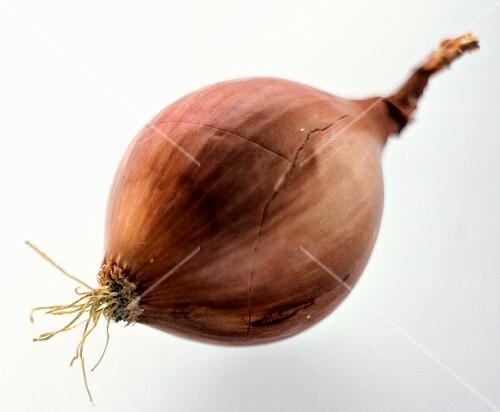 A Red Onion