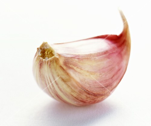 A Clove of Garlic