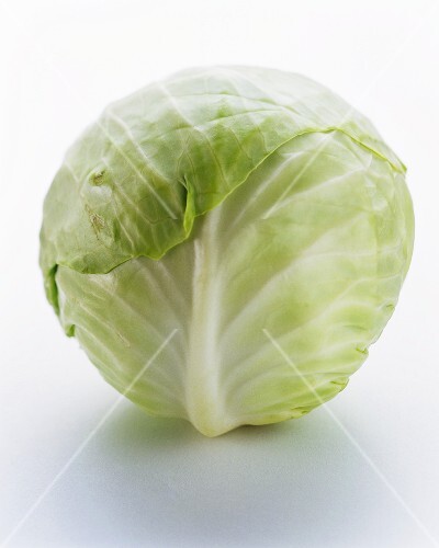 A Head of White Cabbage