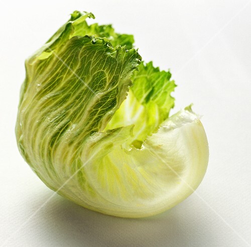 Iceberg Lettuce Leaf