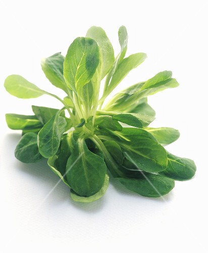 A Fresh Bunch of Watercress