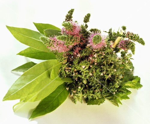 Kräuterbouquet