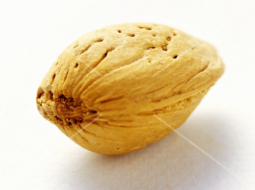 Eine Mandel