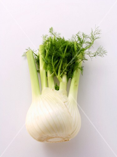 A Fennel Bulb