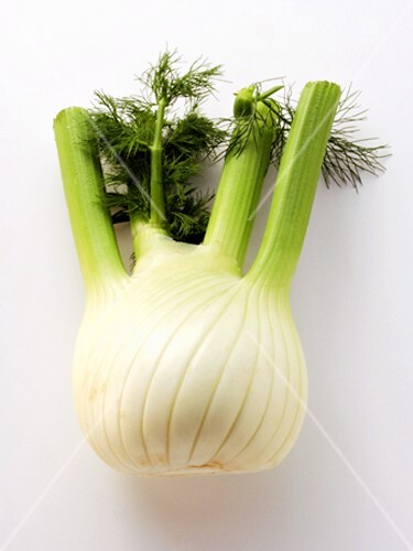A Fennel Bulb