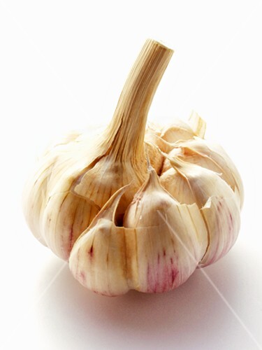 Knoblauch