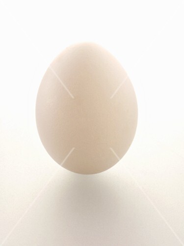 A Single White Egg