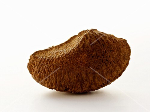 A Brazil Nut
