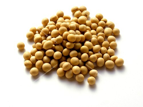 Soybeans