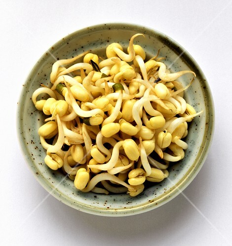 A Bowl of Bean Sprouts