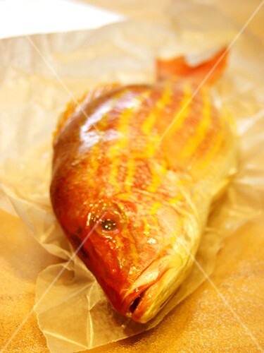 Red Bass