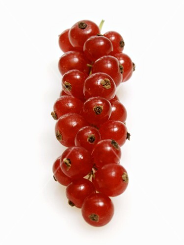 Rote Johannisbeeren