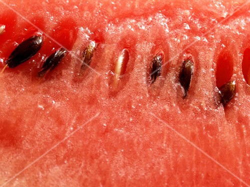 Wassermelone (Detail)
