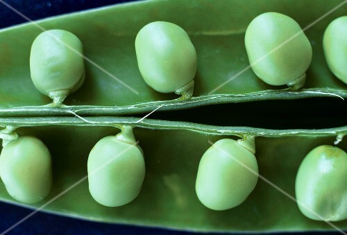 Opened pea pod with peas (close-up)