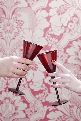 People toasting with wine glases