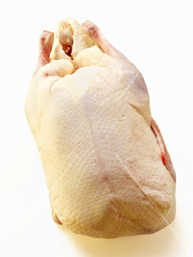 Fresh duck (1)