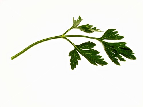 Parsley