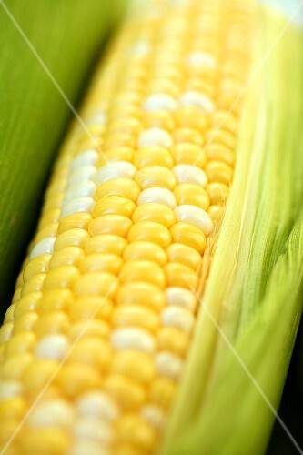 Corncob with husks (detail)