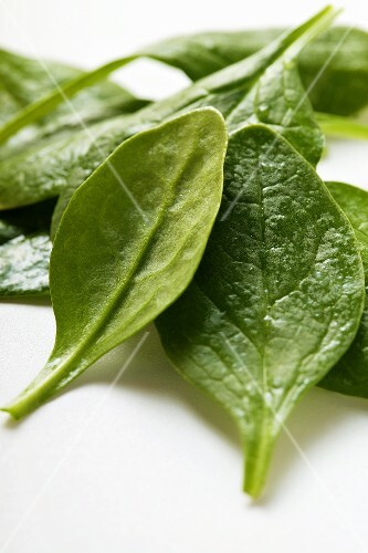 Young spinach leaves