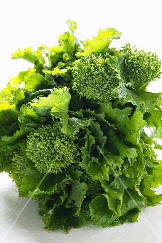 Broccoli rabe