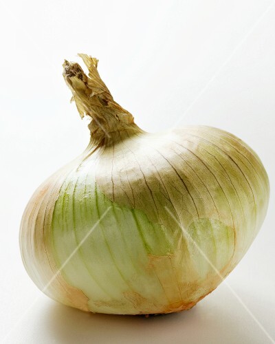 Fresh onion