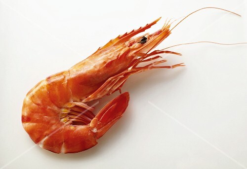 Cooked shrimp