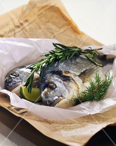 Two sea bream on paper