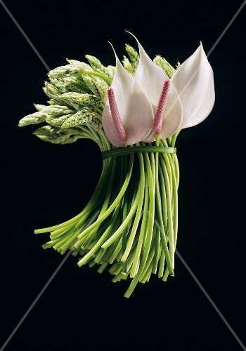 Wild asparagus with flamingo lilies