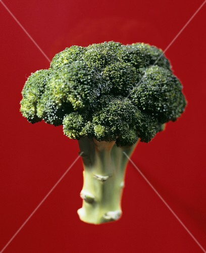 Broccoli