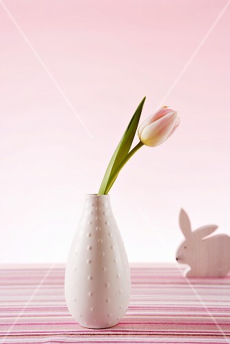 A tulip in a vase