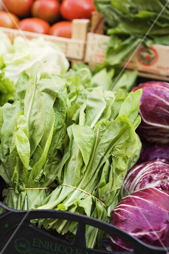 Fresh spinach and radicchio at a market