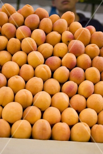 Viele Aprikosen in Steige auf dem Markt