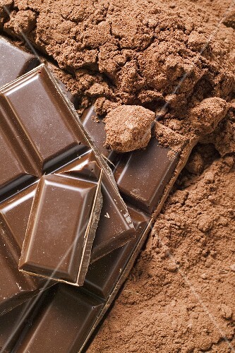 Cocoa powder and pieces of chocolate (detail)