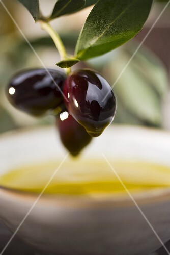 Olive sprig with black olives over bowl of olive oil