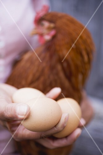 Woman holding eggs and live hen