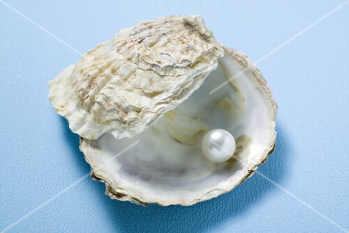 Pearl in oyster shell