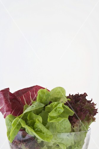 Gemischter Blattsalat in Glasschüssel