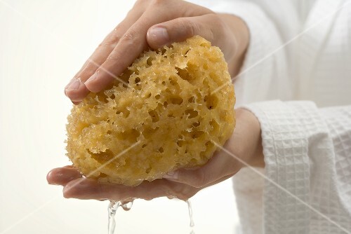 Hands squeezing out wet bath sponge