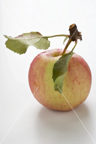 Red apple with stalk and leaves