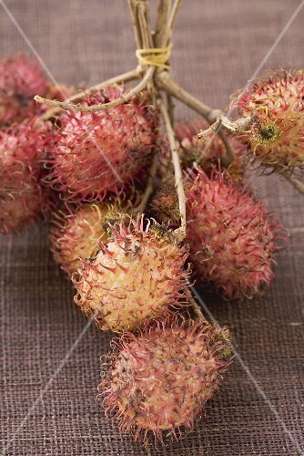 Rambutans on stalks
