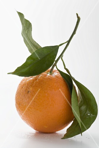 Orange with stalk and leaves